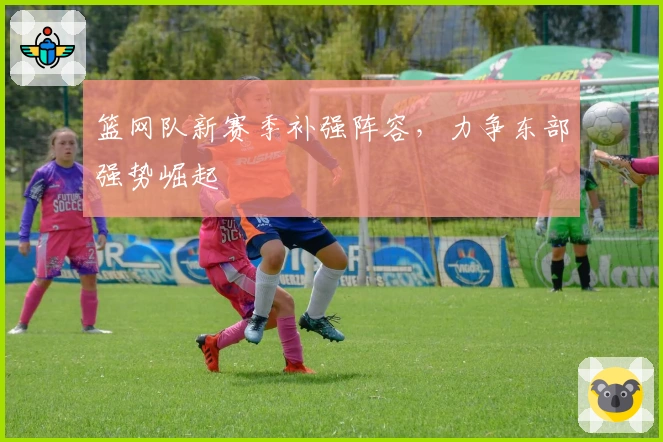 篮网队新赛季补强阵容，力争东部强势崛起